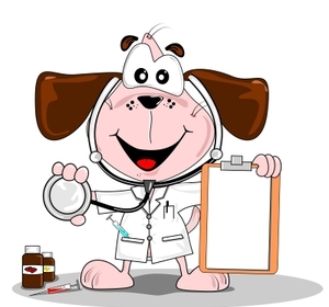 Des vétérinaires pour pallier le manque de médecins